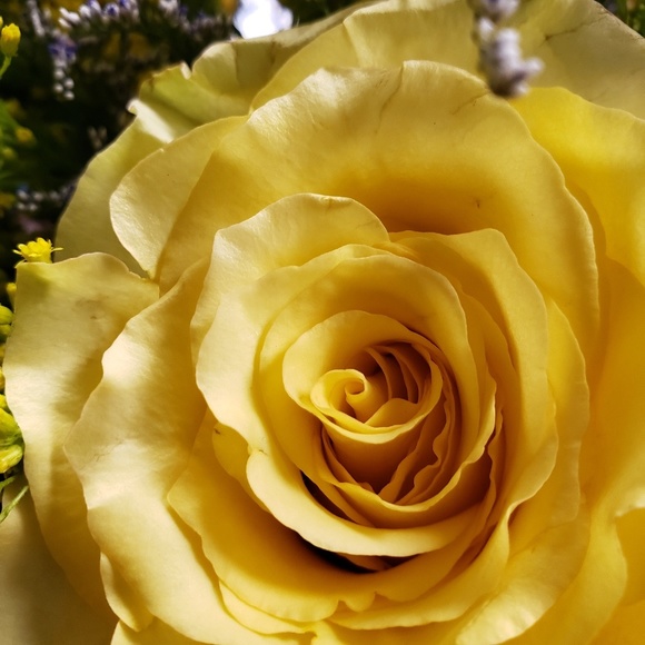 New to Poshmark - Picture 1 of 1